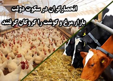 چرا آمارها محرمانه‌اند؟/ نهاده در اختیار مرغدار نیست.