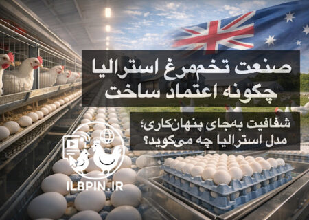 پذیرش ارزیابی مستقل؛ گام صنعت تخم‌مرغ استرالیا به‌سوی شفافیت و پایداری