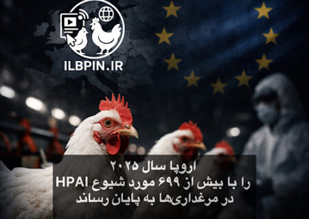 اروپا سال ۲۰۲۵ را با بیش از ۶۹۹ مورد شیوع HPAI در مرغداری‌ها به پایان رساند