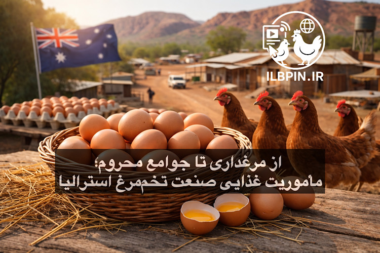 توزیع تخممرغ در مناطق محروم استرالیا با همکاری Australian Eggs و Foodbank