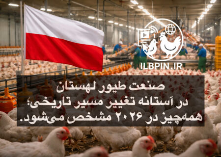 صنعت طیور لهستان در آستانه تحولات ساختاری؛ رقابت جهانی و اصلاحات تجاری محور تمرکز ۲۰۲۶