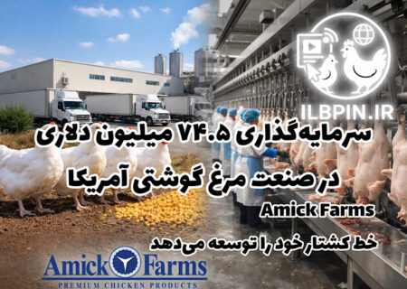 سرمایه‌گذاری ۷۴.۵ میلیون دلاری در صنعت مرغ گوشتی آمریکا؛ Amick Farms خط کشتار خود را توسعه می‌دهد
