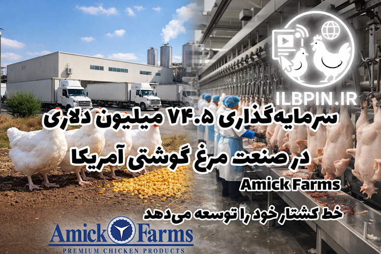 سرمایه‌گذاری ۷۴.۵ میلیون دلاری در صنعت مرغ گوشتی آمریکا؛ Amick Farms خط کشتار خود را توسعه می‌دهد