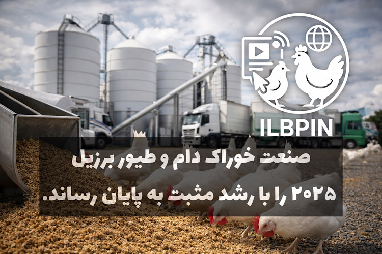 صنعت خوراک دام و طیور برزیل جلوتر از رقبا؛ رشد ۲.۸ درصدی در ۲۰۲۵