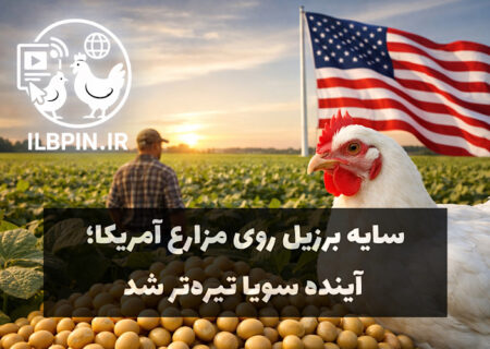 کاهش اعتماد کشاورزان آمریکا و پیامدهای آن برای بازار جهانی دانه‌های روغنی و خوراک دام