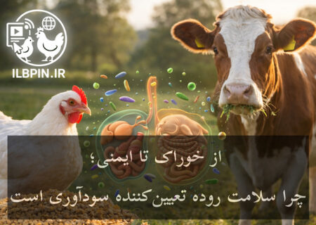 رویکرد جامع (هولیستیک) به سلامت دستگاه گوارش در دام و طیور