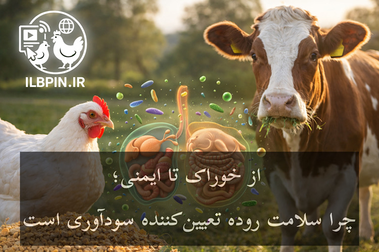 رویکرد جامع (هولیستیک) به سلامت دستگاه گوارش در دام و طیور