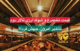 شوک ارزی تالار دوم در سایه افت تقاضای تخم‌مرغ