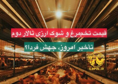شوک ارزی تالار دوم در سایه افت تقاضای تخم‌مرغ