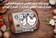 توصیه تولیدکننده انگلیسی به مصرف‌کنندگان: تخم‌مرغ سفید، انتخابی پایدارتر از تخم‌مرغ قهوه‌ای