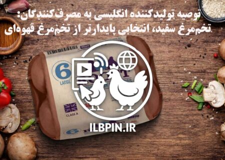 توصیه تولیدکننده انگلیسی به مصرف‌کنندگان: تخم‌مرغ سفید، انتخابی پایدارتر از تخم‌مرغ قهوه‌ای