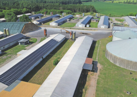 Big broiler farm in Germany: “Every day demands a different climate”