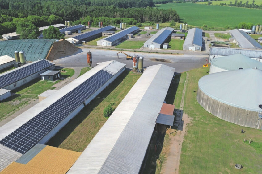 Big broiler farm in Germany: “Every day demands a different climate”