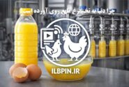 چرا جهان به سمت مصرف تخم‌مرغ مایع کامل حرکت می‌کند؟