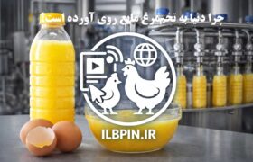 چرا جهان به سمت مصرف تخم‌مرغ مایع کامل حرکت می‌کند؟