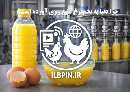 چرا جهان به سمت مصرف تخم‌مرغ مایع کامل حرکت می‌کند؟