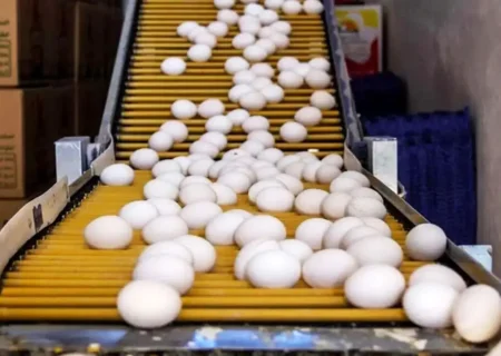 قیمت تخم‌ مرغ در آستانه نیم‌ میلیون تومانی / صبحانه هم لاکچری شد