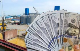 حذف ارز ترجیحی و تولد رانت ۵۰ هزار تومانی؛ چرا سود واردکنندگان چند برابر شد و مردم چیزی ندیدند؟