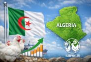 بررسی جایگاه صنعت طیور الجزایر در قاره آفریقا